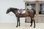 Czaprak wszechstronny Kentucky Horsewear Plaited Cord