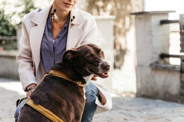 Szelki dla psa Kentucky Dogwear Loop Velvet