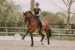 Popręg ujeżdżeniowy z futrem syntetycznym Kentucky Horsewear Sheepskin Short Girth