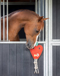 Zabawka do boksu QHP Horse Toy