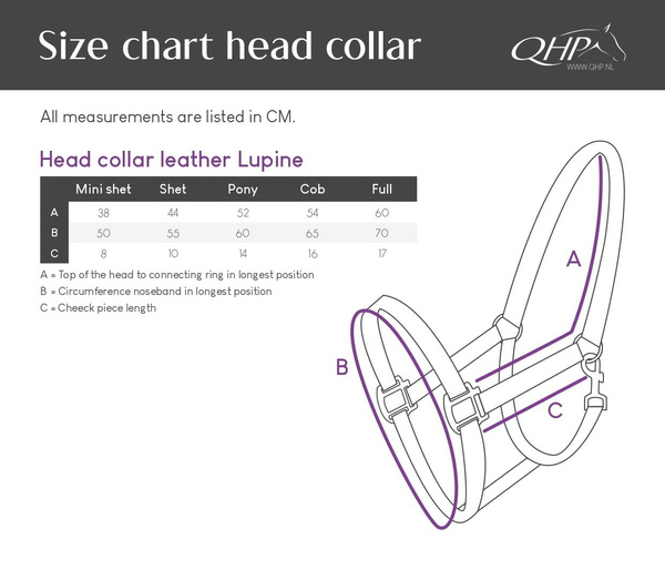 Kantar z uwiązem QHP