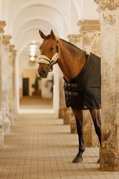 Derka siatkowa przeciw owadom Kentucky Horsewear Mesh Fly Sheet