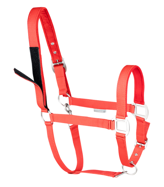 Kantar Waldhausen Safety Touch Tape