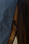 Derka stajenna Kentucky Horsewear Canvas Sheet