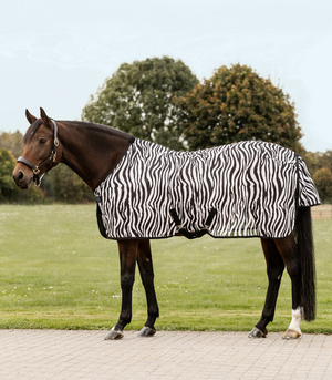 Derka siatkowa Waldhausen Zebra