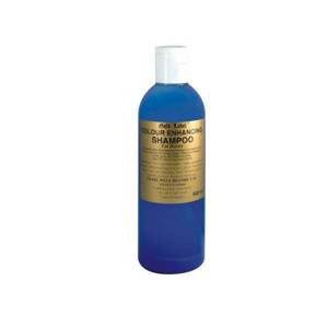 Szampon Gold Label Colour Enhancing Shampoo