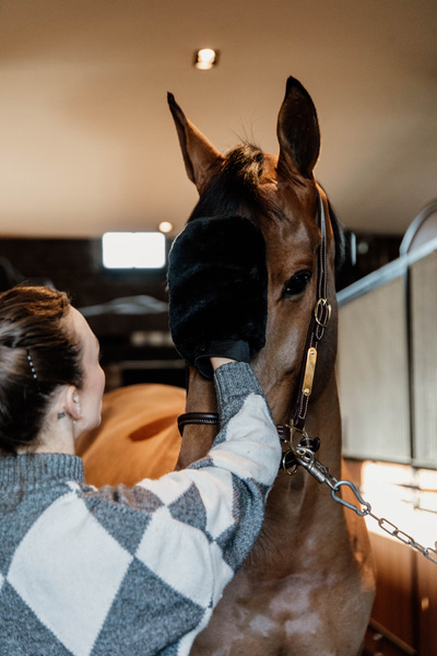 Rękawica do czyszczenia Grooming Deluxe