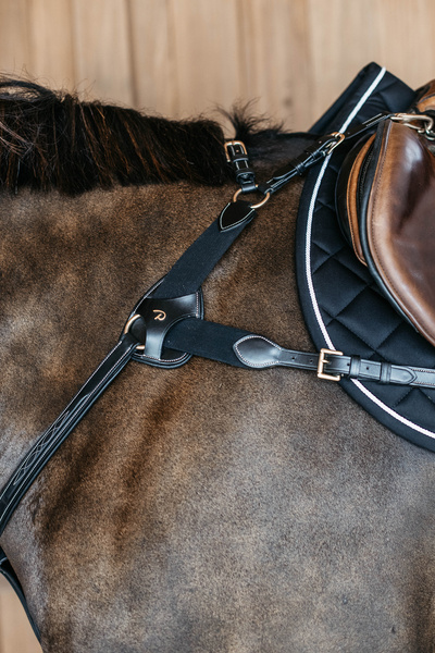 Napierśnik pięciopunktowy Dy'on D Collection DY06F