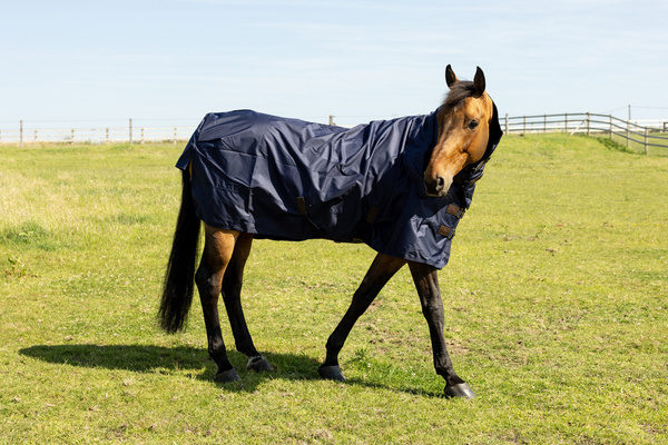 Derka padokowa Kentucky Horsewear All Weather Waterproof Classic 150g