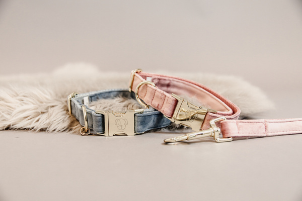 Obroża dla psa Kentucky Dogwear Velvet