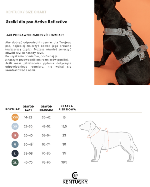 Szelki dla psa Kentucky Dogwear Active Reflective