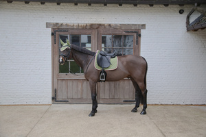 Czaprak ujeżdżeniowy Kentucky Horsewear Softshell Onion Quilt
