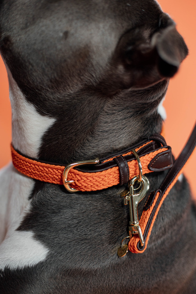 Obroża dla psa Kentucky Dogwear Plaited Nylon