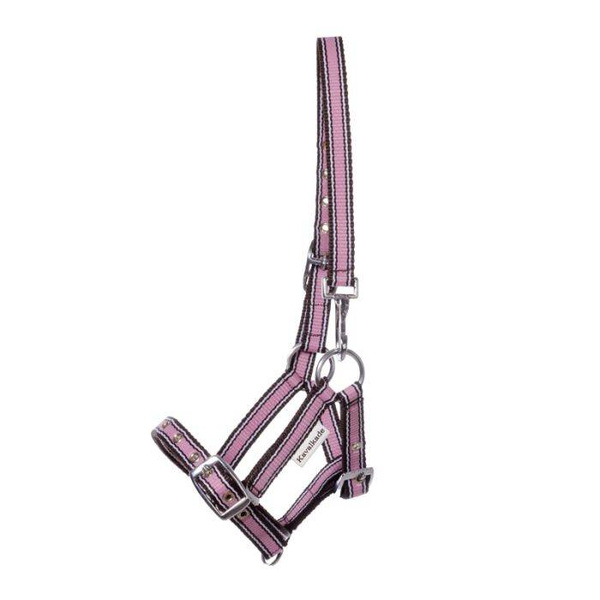 Kantar dla źrebaka Kavalkade