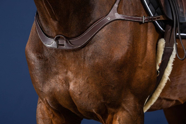 Napierśnik z mostkiem Dy'on US Collection US06B