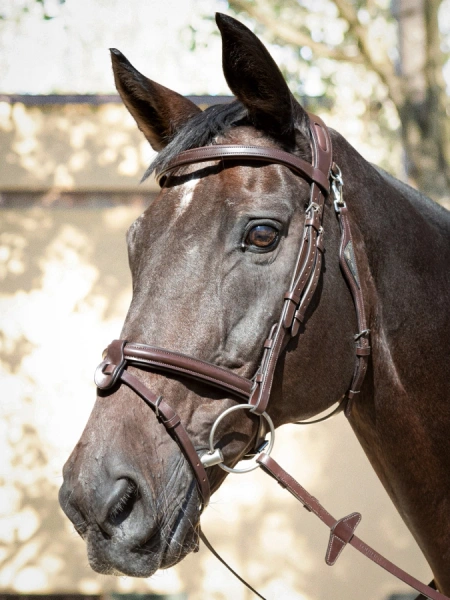 Ogłowie z nachrapnikiem angielskim kombinowanym z paskiem krzyżowym Equiline Ready to Ride