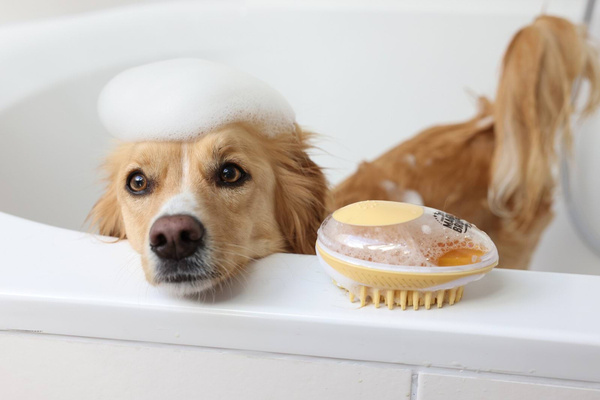 Szczotka do kąpieli dla psa Magic Brush