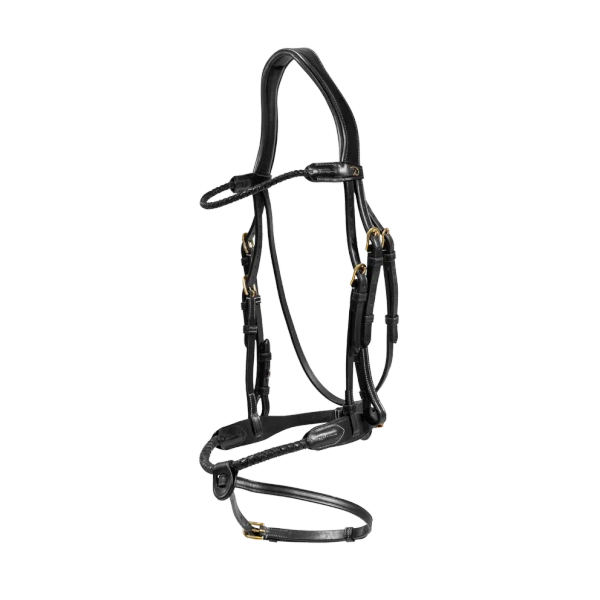 Ogłowie z plecionym nachrapnikiem skórzanym Dy'on D Collection DYARAY