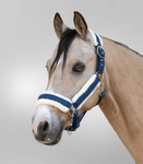 Kantar Waldhausen Sparkle