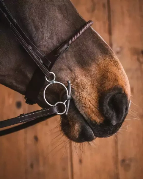 Wielokrążek z krótkimi wąsami FAGER Fredric Titanium - podwójnie łamany