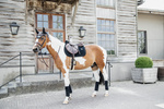 Czaprak skokowy Kentucky Horsewear Velvet Pearls