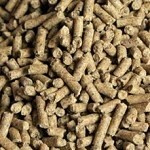 SARACEN Essential Balancer 20kg