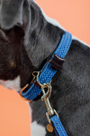Smycz dla psa Kentucky Dogwear Plaited Nylon - 120 cm