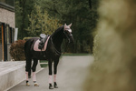 Czaprak ujeżdżeniowy Kentucky Horsewear Velvet Pearls