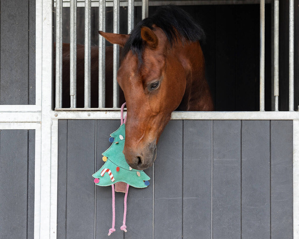 Zabawka do boksu QHP Horse Toy - Christmas