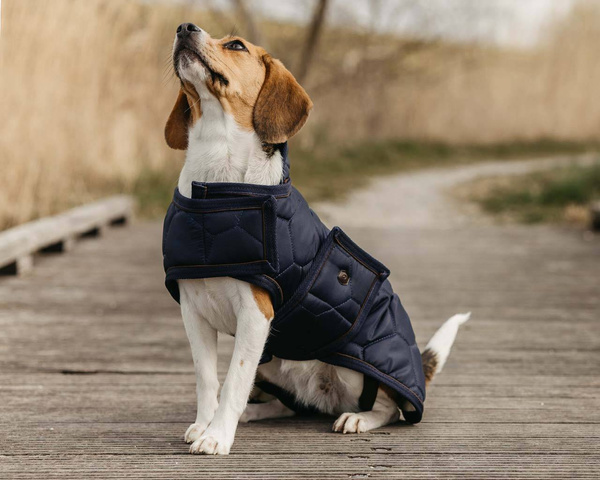 Derka dla psa QHP Classy