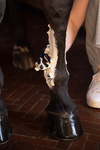 Papier do glinki chłodzącej Grooming Deluxe Horse Leg Clay Paper