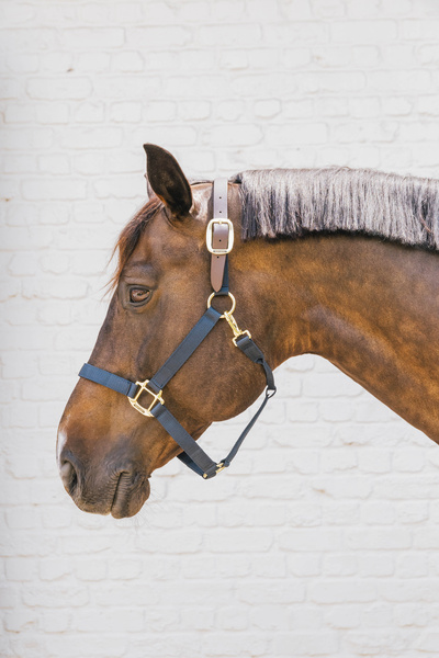 Wymienny pasek potyliczny do kantara Kentucky Horsewear Breakaway