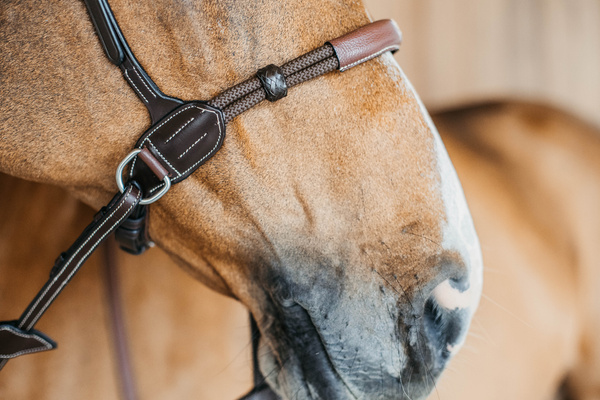 Ogłowie bezwędzidłowe Dy'on Working Collection WOCCXV