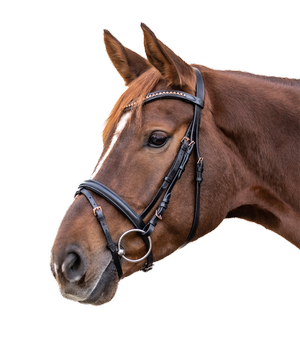 Ogłowie z nachrapnikiem kombinowanym Star Rosemary