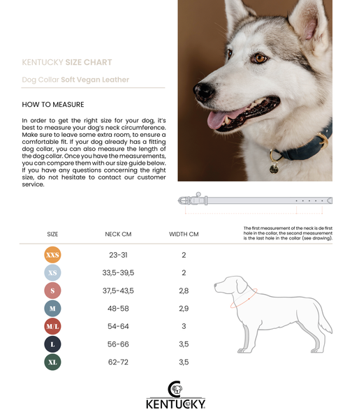 Obroża dla psa Dy'on Flat Leather DC31A