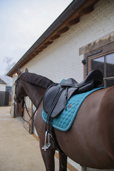 Czaprak ujeżdżeniowy Kentucky Horsewear Melange