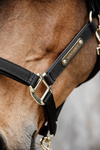 Kantar anatomiczny Kentucky Horsewear Anatomic Nylon