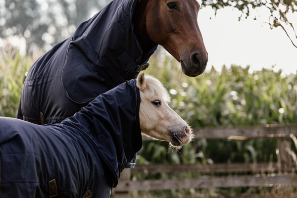 Derka padokowa Kentucky Horsewear All Weather Waterproof Pro 0g