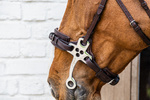 Hackamore Dy'on New English Collection NE-14003