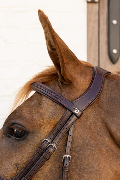 Ogłowie z nachrapnikiem meksykańskim Dy'on New EnglishCollection Plaited NEAOAV