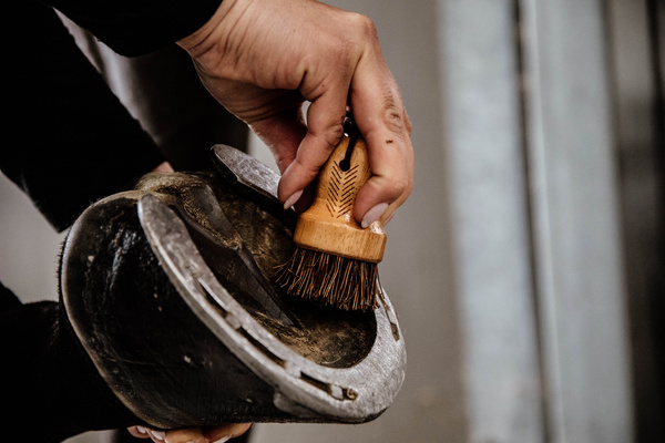 Kopystka ze szczotką Grooming Deluxe