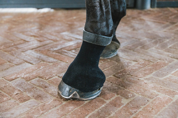 Skarpeta żelowa Kentucky Horsewear Tendon Grip