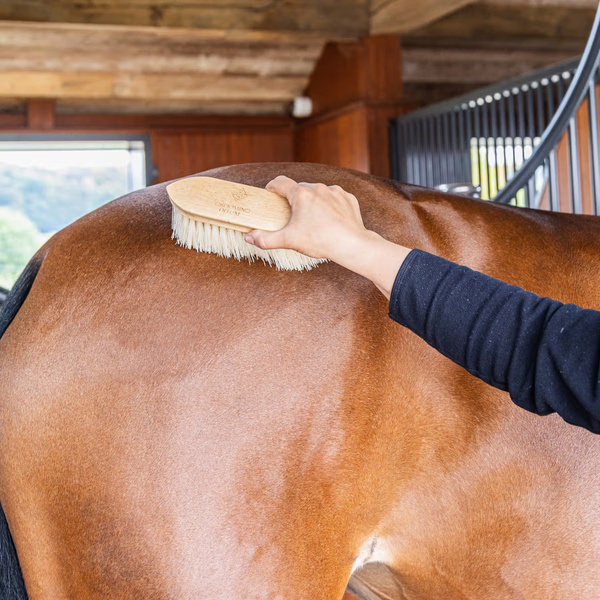 Szczotka do usuwania brudu i luźnej sierści Grooming Deluxe Middle Hard