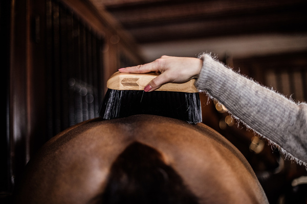 Szczotka do sierści Grooming Deluxe Middle Hard