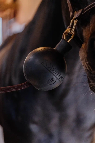 Kula ochronna do uwiązu Kentucky Horsewear