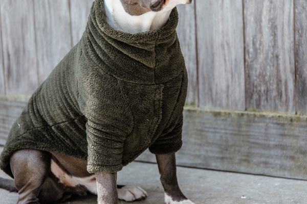 Derka dla psa Kentucky Dogwear Teddy Fleece