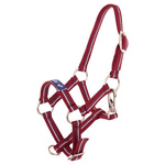 Kantar źrebięcy Premiere Fun