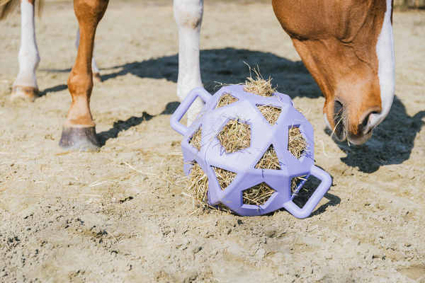 Piłka na siano dla konia Kentucky Horsewear Relax Horse Play & Hay Ball