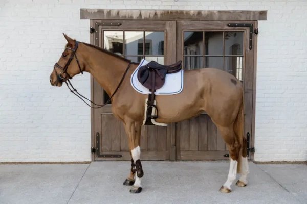 Czaprak skokowy Kentucky Horsewear Glitter Rope