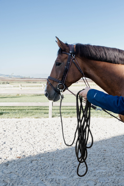 Lina treningowa Kentucky Horsewear Lunge Rope - 8 metrów